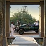 The Ultimate Luxury Safari Experience at Royal Malewane